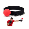 Reflex Training Boxing Ball Dream Voice