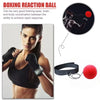 Reflex Training Boxing Ball Dream Voice