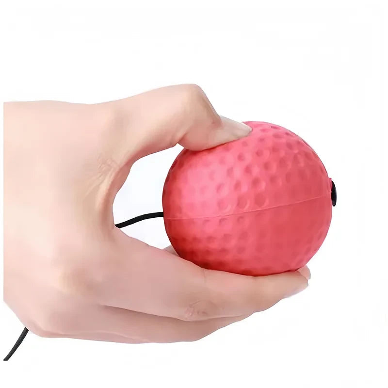 Reflex Training Boxing Ball Dream Voice