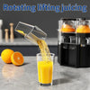 DualHead Electric Citrus Juicer Dream Voice