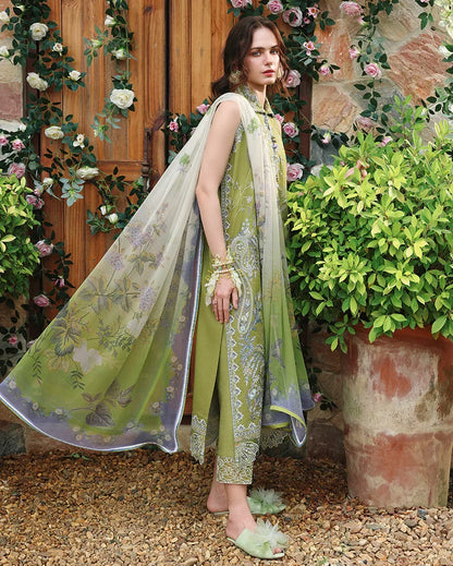 Whispering Ivy Embroidered Lawn Suit